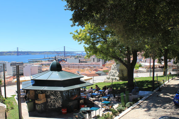 a group of people in a garden