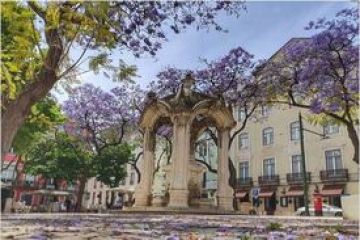 a group of people in a park