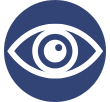 Vision icon